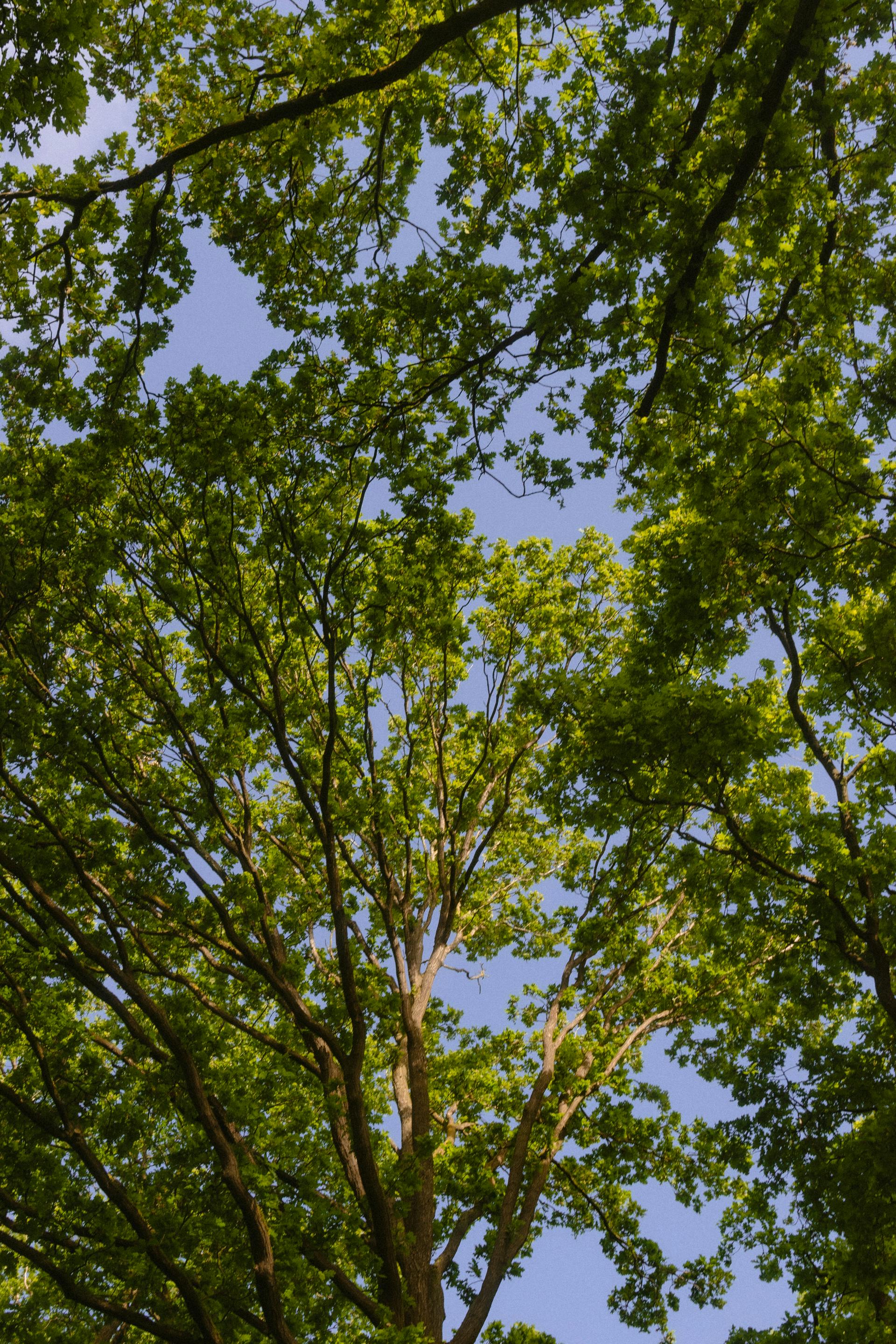 KPCAA Hosts Climate Policy Summit 2024